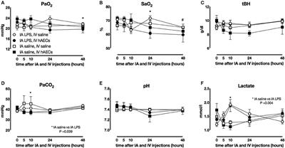 Effect of Human Amnion Epithelial Cells on the Acute Inflammatory Response in Fetal Sheep